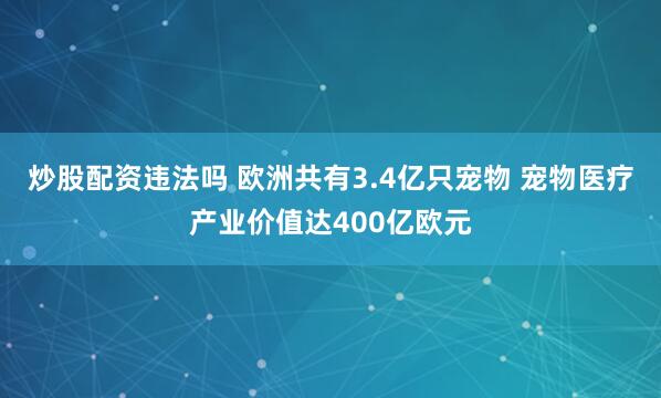 炒股配资违法吗 欧洲共有3.4亿只宠物 宠物医疗产业价值达400亿欧元