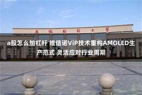 a股怎么加杠杆 维信诺ViP技术重构AMOLED生产范式 灵活应对行业周期