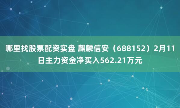 哪里找股票配资实盘 麒麟信安（688152）2月11日主力资金净买入562.21万元