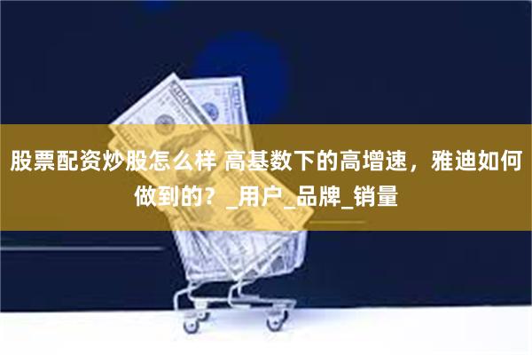 股票配资炒股怎么样 高基数下的高增速，雅迪如何做到的？_用户_品牌_销量