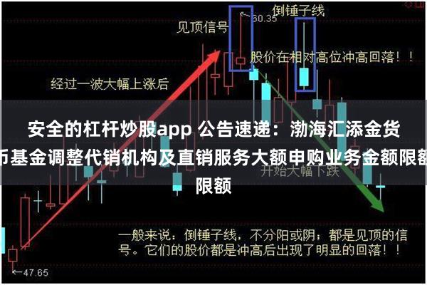 安全的杠杆炒股app 公告速递：渤海汇添金货币基金调整代销机构及直销服务大额申购业务金额限额