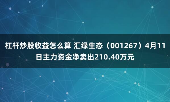 杠杆炒股收益怎么算 汇绿生态（001267）4月11日主力资金净卖出210.40万元