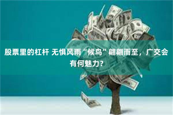 股票里的杠杆 无惧风雨“候鸟”翩翩而至，广交会有何魅力？