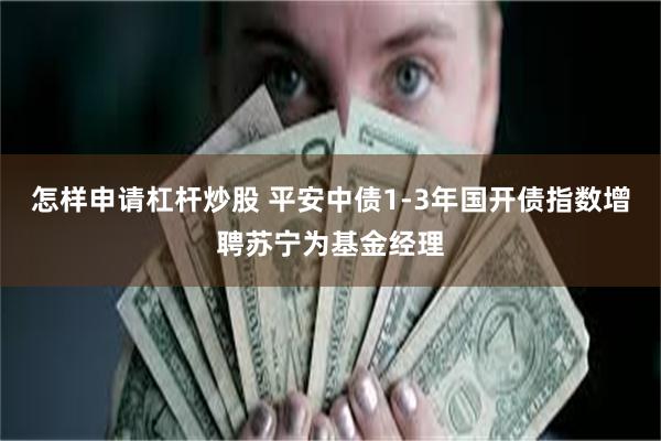 怎样申请杠杆炒股 平安中债1-3年国开债指数增聘苏宁为基金经理