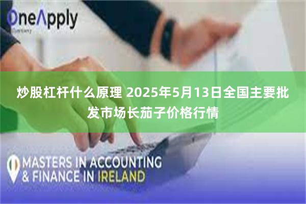 炒股杠杆什么原理 2025年5月13日全国主要批发市场长茄子价格行情