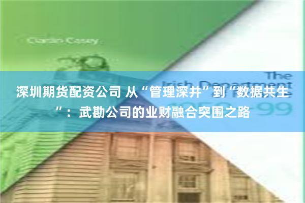 深圳期货配资公司 从“管理深井”到“数据共生”：武勘公司的业财融合突围之路