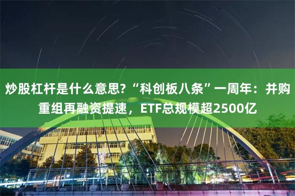 炒股杠杆是什么意思? “科创板八条”一周年：并购重组再融资提速，ETF总规模超2500亿