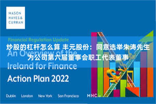 炒股的杠杆怎么算 丰元股份：同意选举朱涛先生为公司第六届董事会职工代表董事