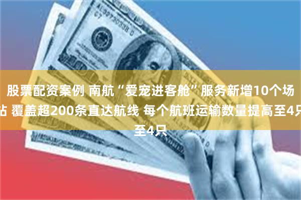 股票配资案例 南航“爱宠进客舱”服务新增10个场站 覆盖超200条直达航线 每个航班运输数量提高至4只